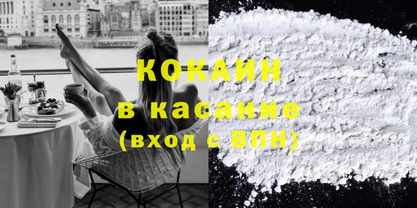 стаф Карпинск