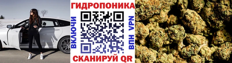Марихуана Amnesia Дубна